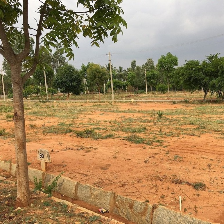 Residential Land